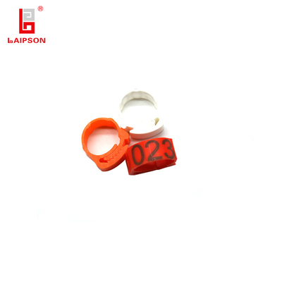 Plastic Poultry Duck Goose Chicken Foot Ring Laser Engraving