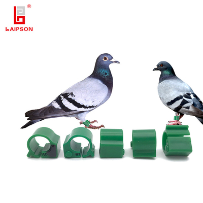 High Stability Identify Poultry Equipment RFID Pigeon Foot Ring For Pigeon Chicken Duck Feet Ring