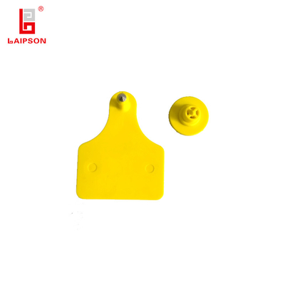 BASF Good Quality Tpu Uv Resistant Material Blank Male Ear Tag For Cow Goat Cattle