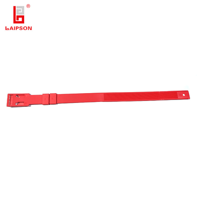 Laipson New Neck Collars For My Sheep Engraved Numbers Cattle Neck Tag Neck Band